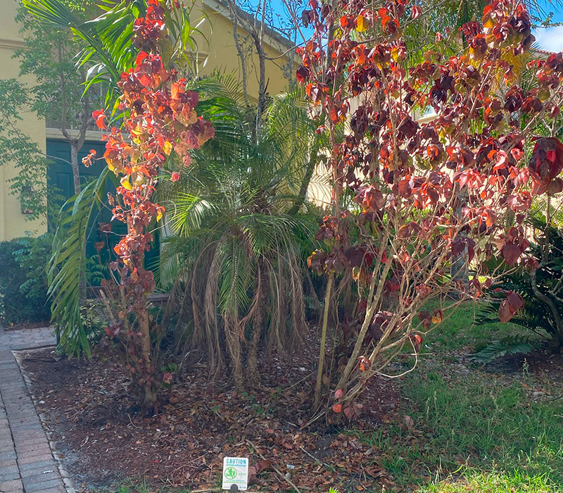 Towing services in Hesperia