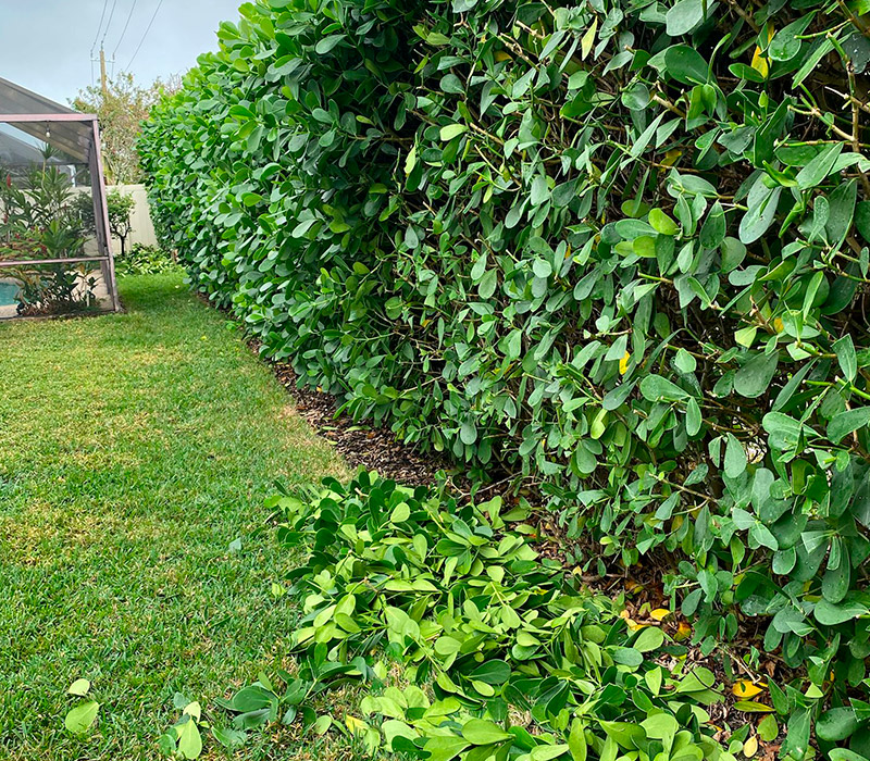 Towing services in Hesperia