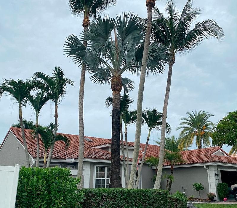 Towing services in Hesperia