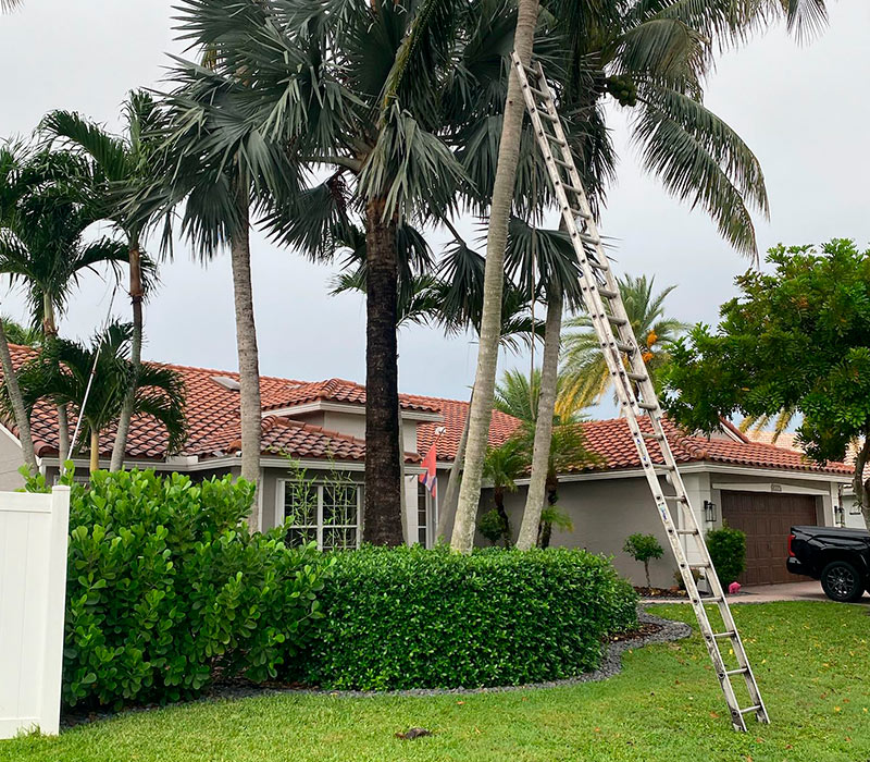 Towing services in Hesperia