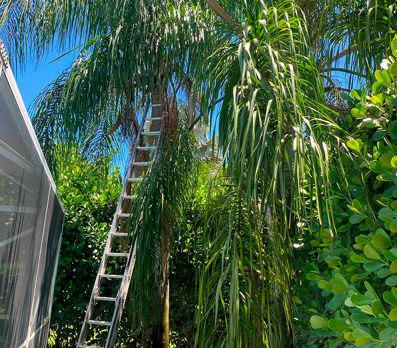 Towing services in Hesperia