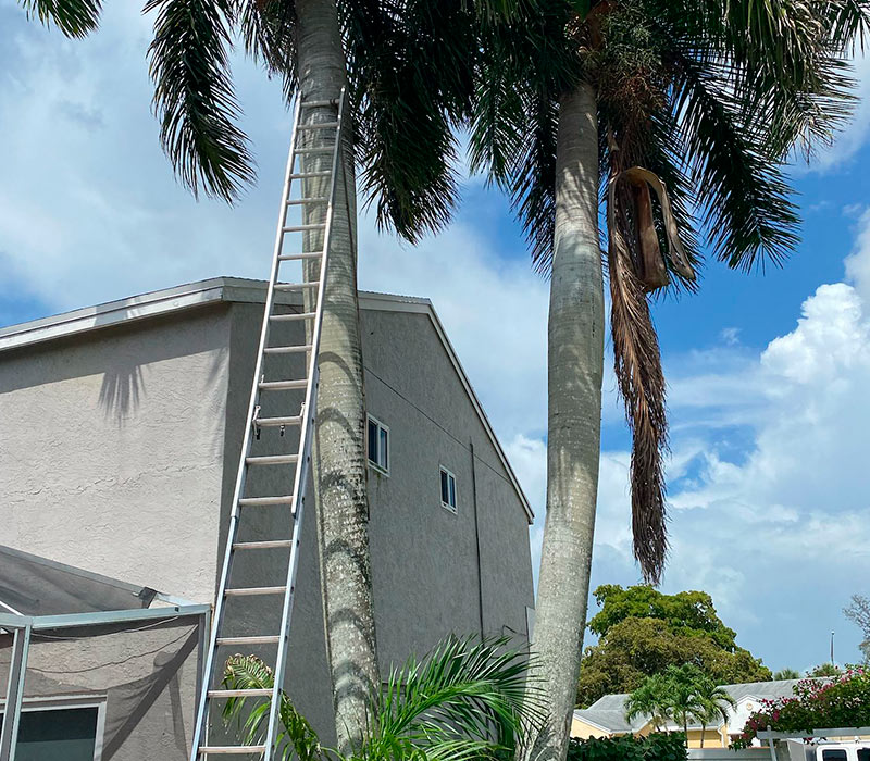 Towing services in Hesperia