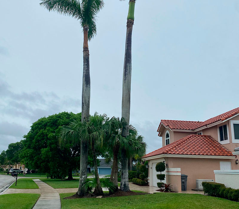 Towing services in Hesperia