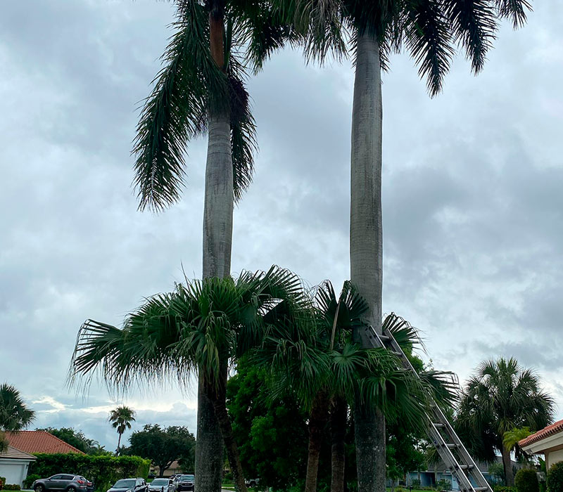 Towing services in Hesperia