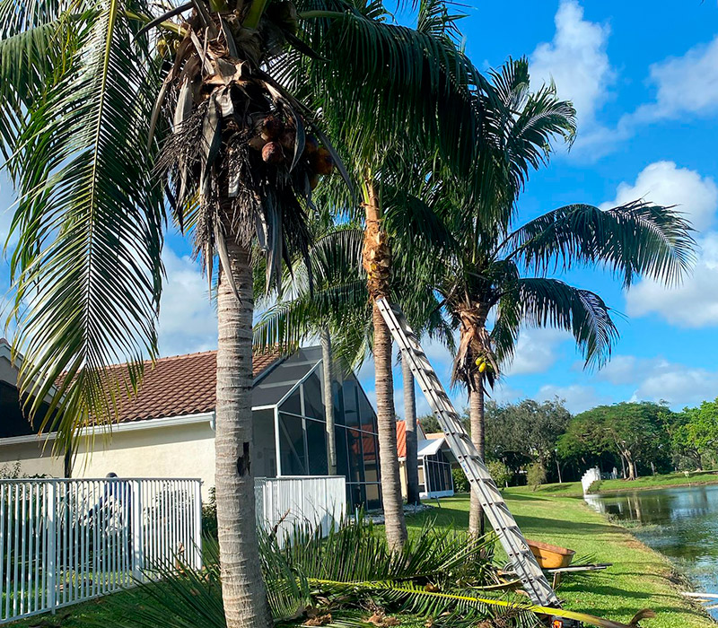 Towing services in Hesperia